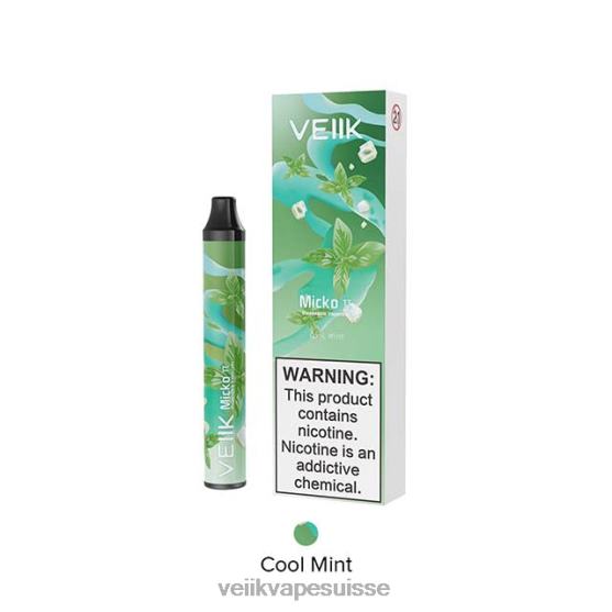 VEIIK Vape Berne TTTDN22 menthe fraîche | VEIIK Micko Pie vape jetable 600 bouffées