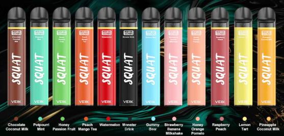 VEIIK Vicko Suisse TTTDN54 plusieurs saveurs | VEIIK Squat Mesh Stylo vape jetable 1800 bouffées, 10 pièces